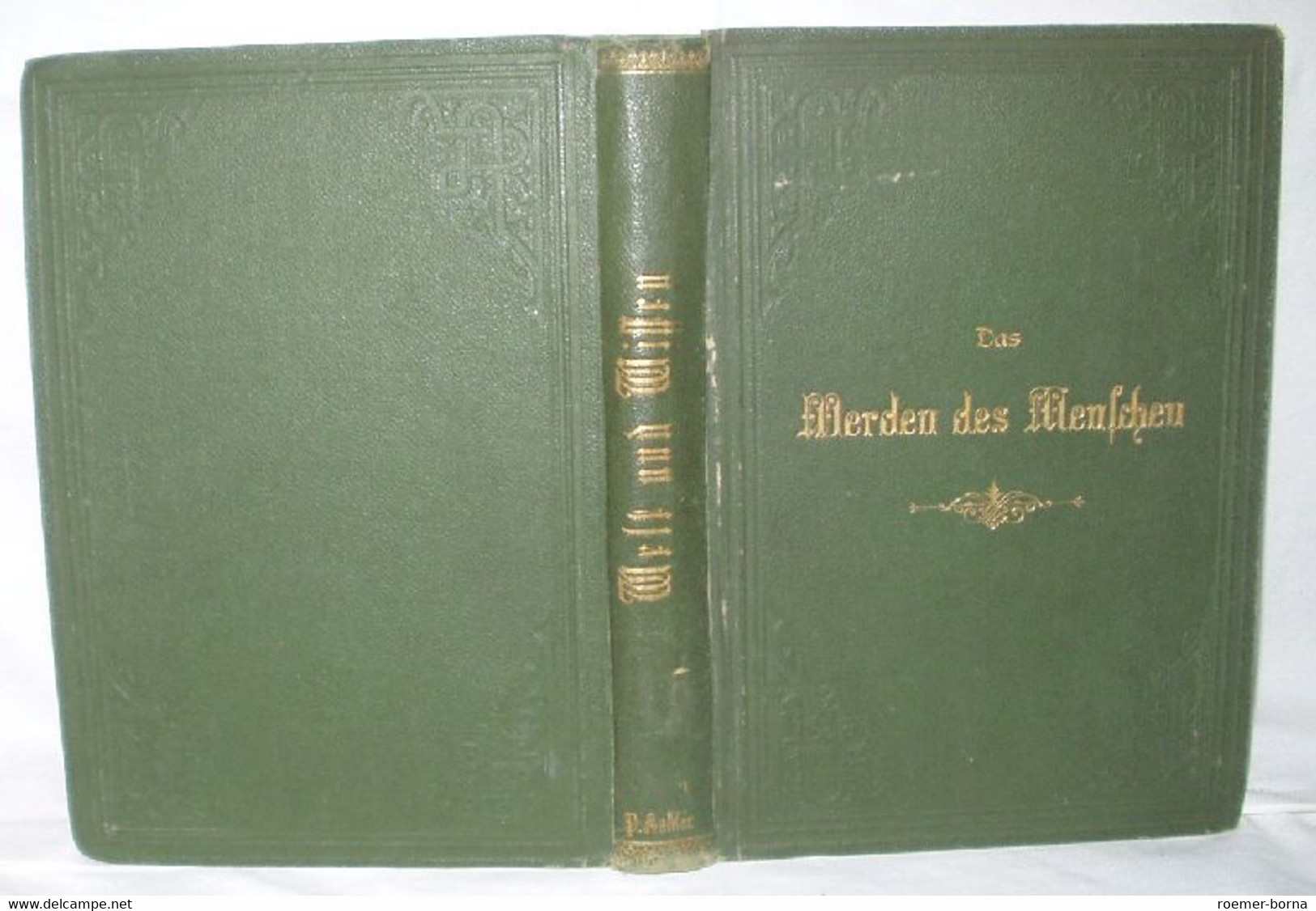 Das Werden Des Menschen Im Mutterleib - Santé & Médecine