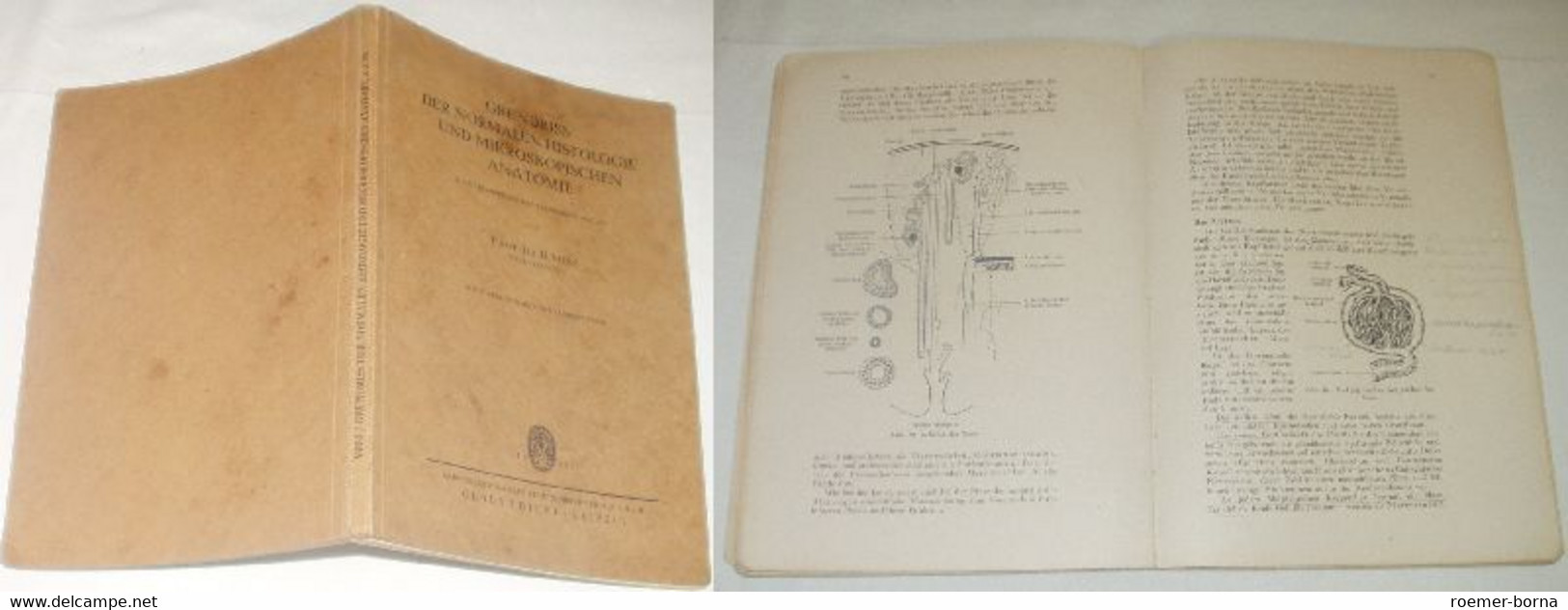 Grundriss Der Normalen Histologie Und Mikroskopischen Anatomie - Medizin & Gesundheit