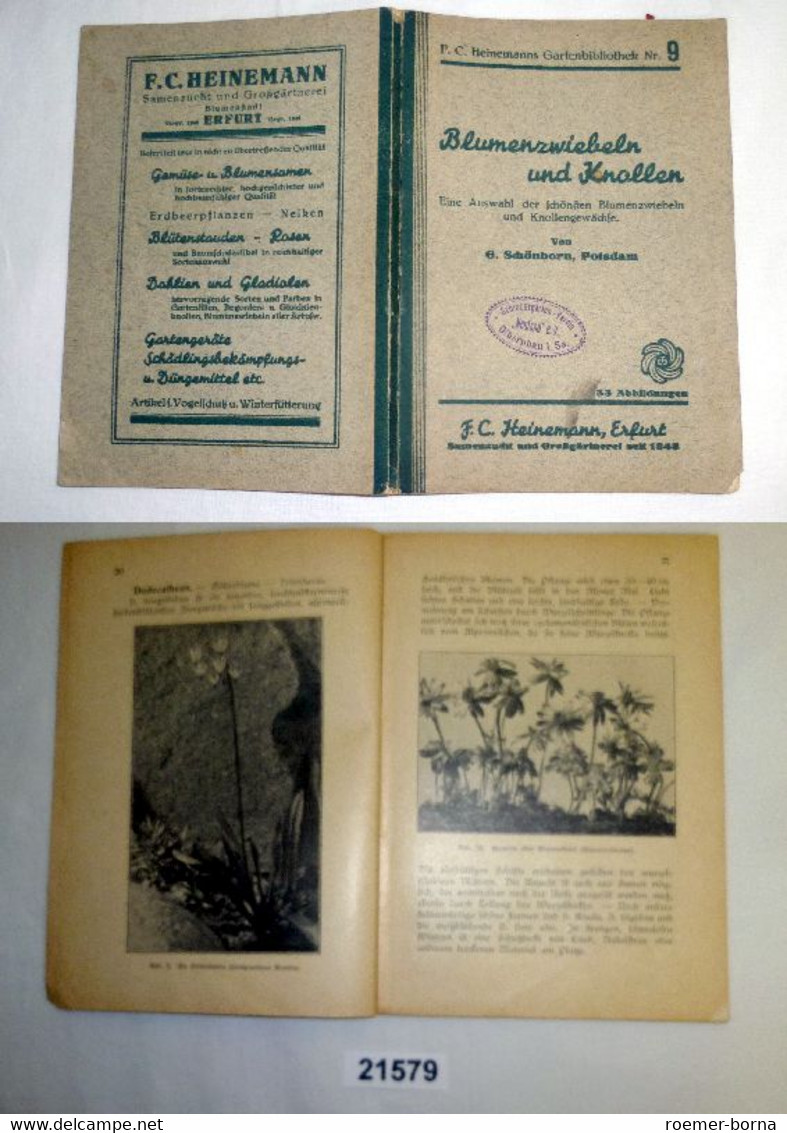 Blumenzwiebeln Und Knollen - Eine Auswahl Der Schönsten Blumenzwiebeln Und Knollengewächse (F.C. Heinemanns Gartenbiblio - Nature
