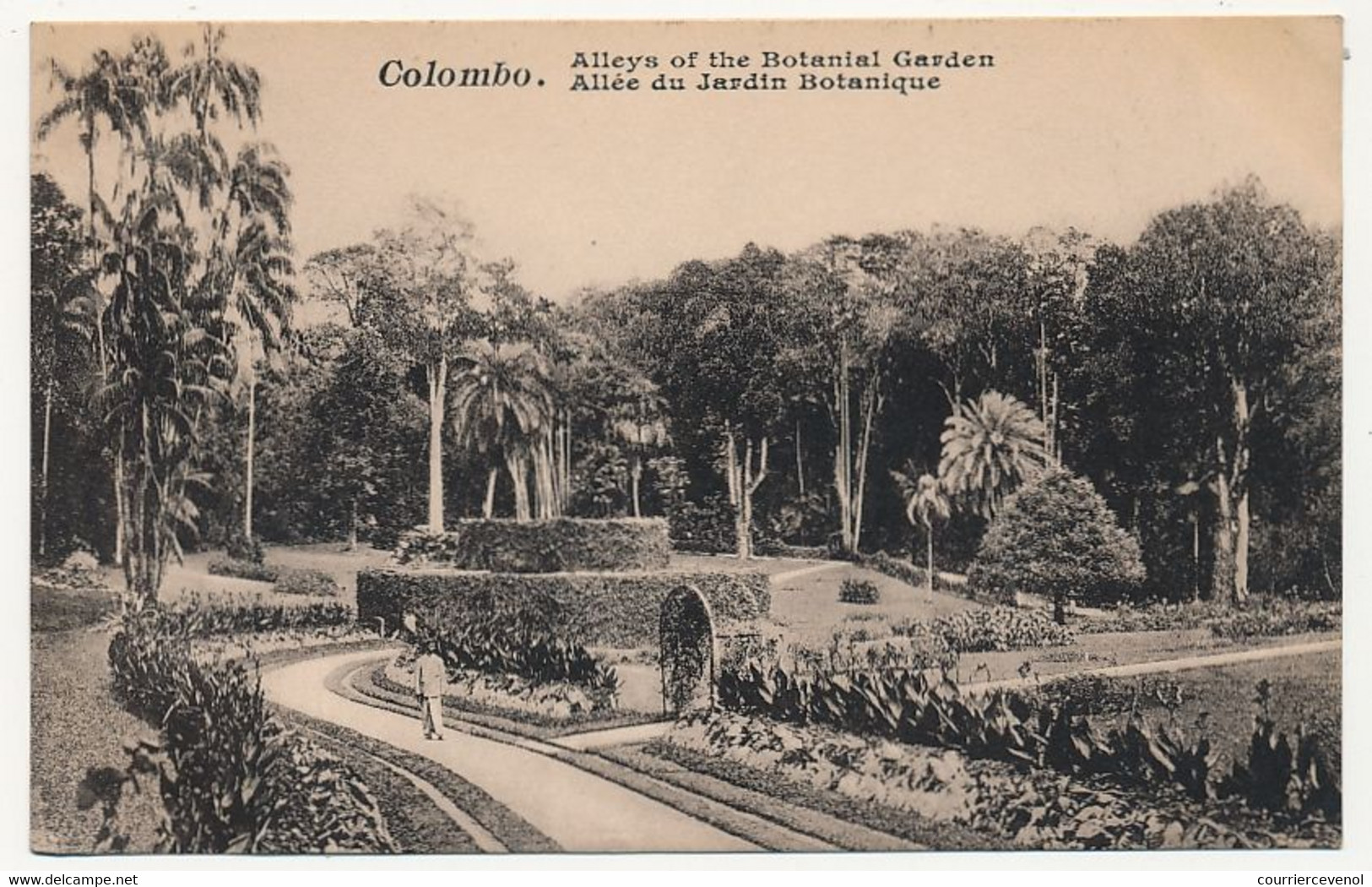 CPA - CEYLAN - COLOMBO - Allée Du Jardin Botanique - Sri Lanka (Ceylon)