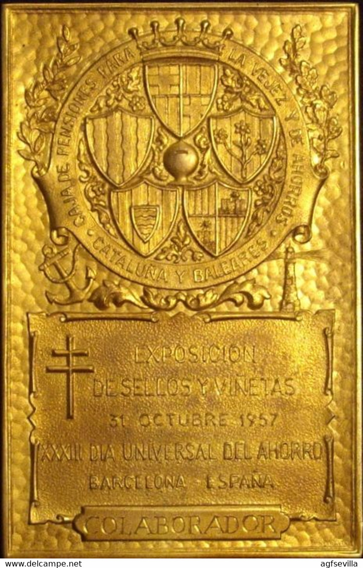 ESPAÑA. PLACA 25 ANIV. INSTITUTO ANTITUBERCULOSO ”FRANCISCO MORAGAS”. 1.957. CON ESTUCHE. ESPAGNE. SPAIN MEDAL - Profesionales/De Sociedad