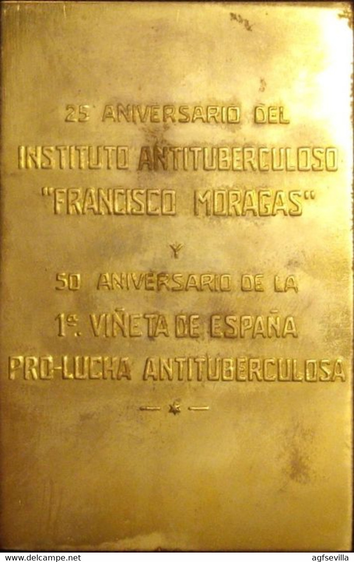 ESPAÑA. PLACA 25 ANIV. INSTITUTO ANTITUBERCULOSO ”FRANCISCO MORAGAS”. 1.957. CON ESTUCHE. ESPAGNE. SPAIN MEDAL - Professionnels/De Société