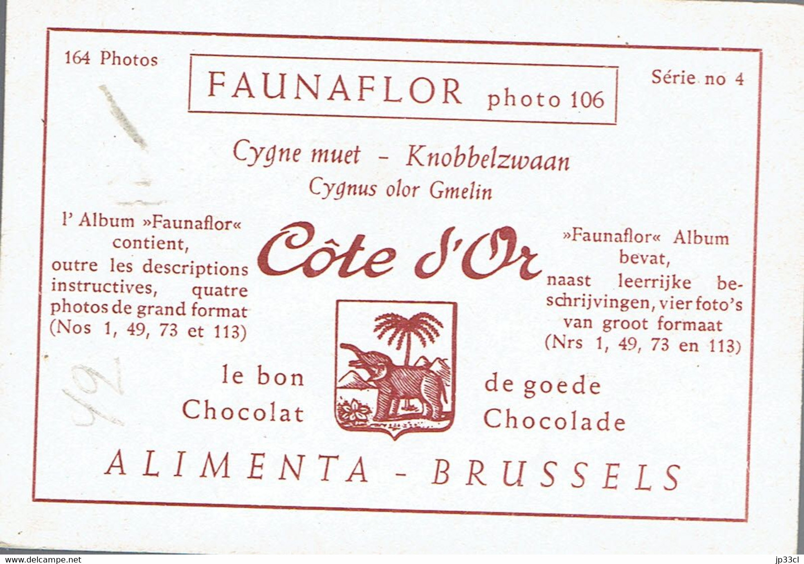 Chromo Côte D'Or Faunaflor Série N° 4 Photo 106 Cygne Muet Knobbelzwaan - Côte D'Or