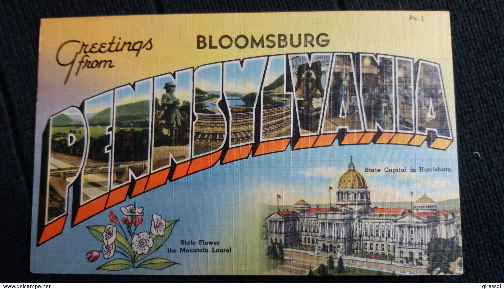 CPA GREETINGS FROM PENNSYVANIA BLOOMSBURG STATE CAPITAL IN HARRISBURG FLOWER MOUNTAIN LAUREL - Harrisburg