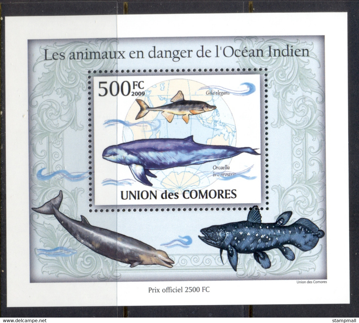 Comoro Is 2009 Endangered Animals In The Indian Ocean, Marine Life Deluxe MS MUH - Comores (1975-...)