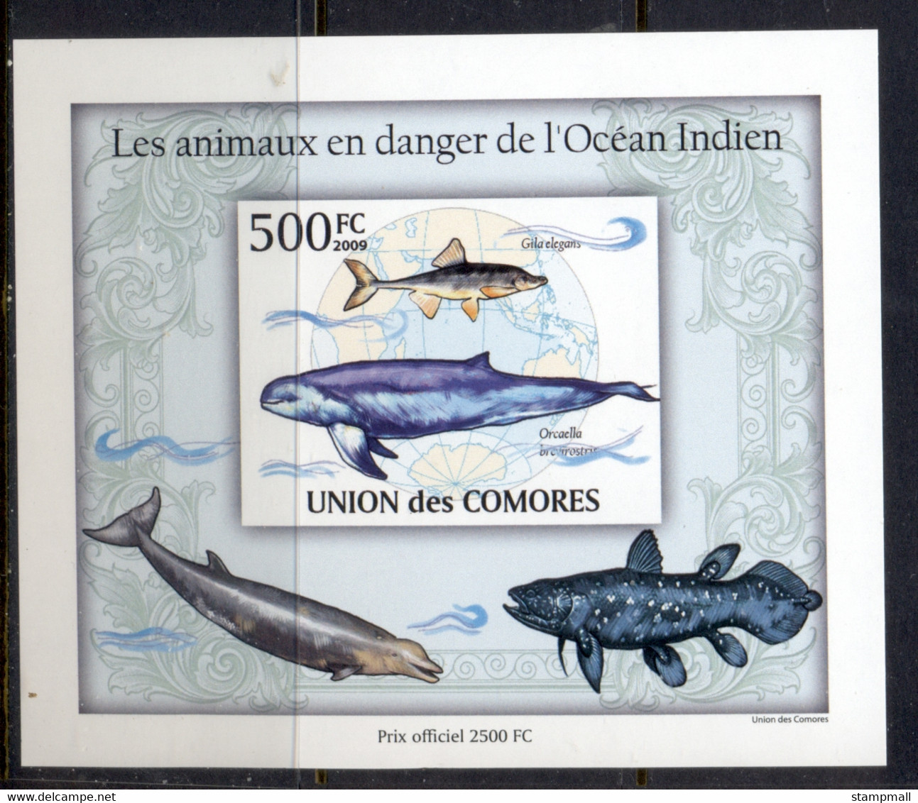 Comoro Is 2009 Endangered Animals In The Indian Ocean, Marine Life Deluxe MS IMPERF MUH - Comores (1975-...)