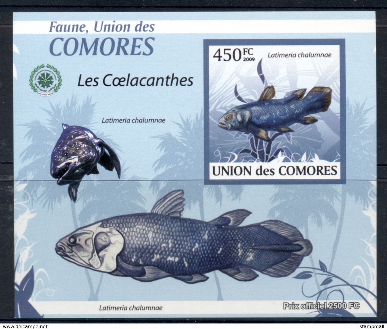 Comoro Is 2009 Fauna Of The Comoro Is, Marine Life, Coelecanth Deluxe MS IMPERF MUH - Comores (1975-...)