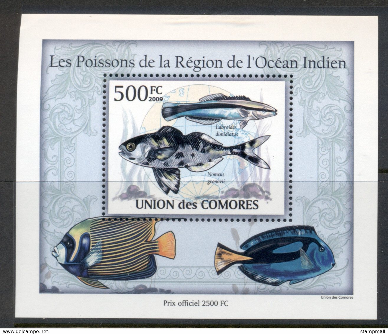 Comoro Is 2009 Marine Life, Fish Of The Indian Ocean Deluxe MS MUH - Comores (1975-...)