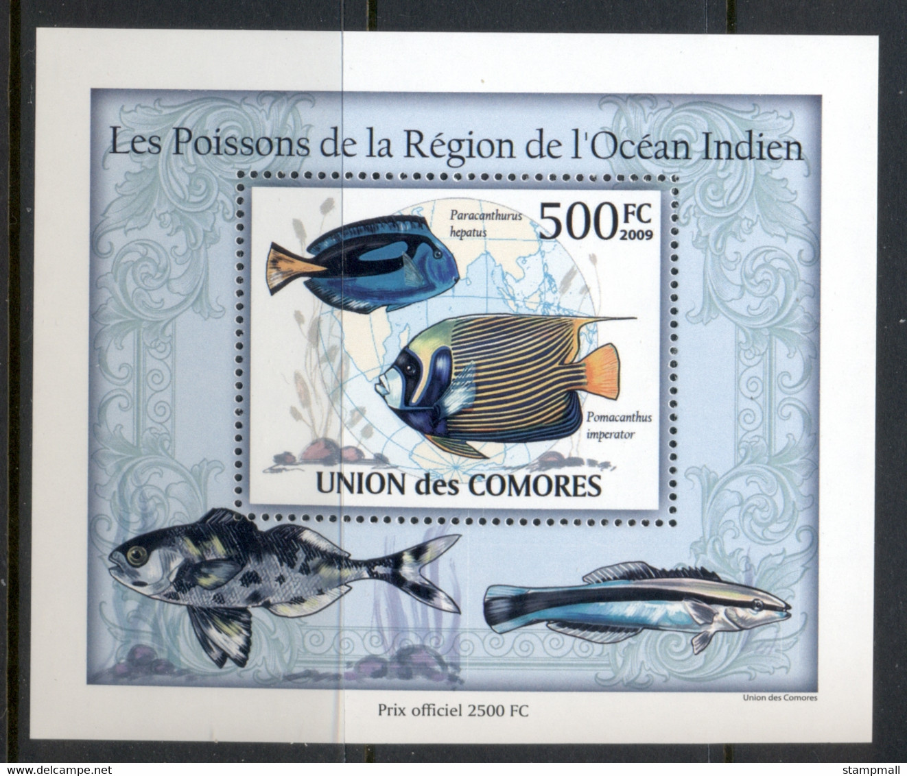 Comoro Is 2009 Marine Life, Fish Of The Indian Ocean Deluxe MS MUH - Comores (1975-...)