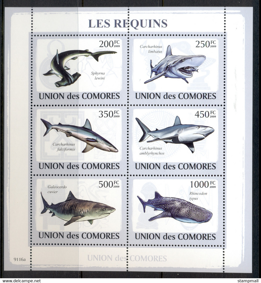 Comoro Is 2009 Marine Life, Sharks MS MUH - Comores (1975-...)