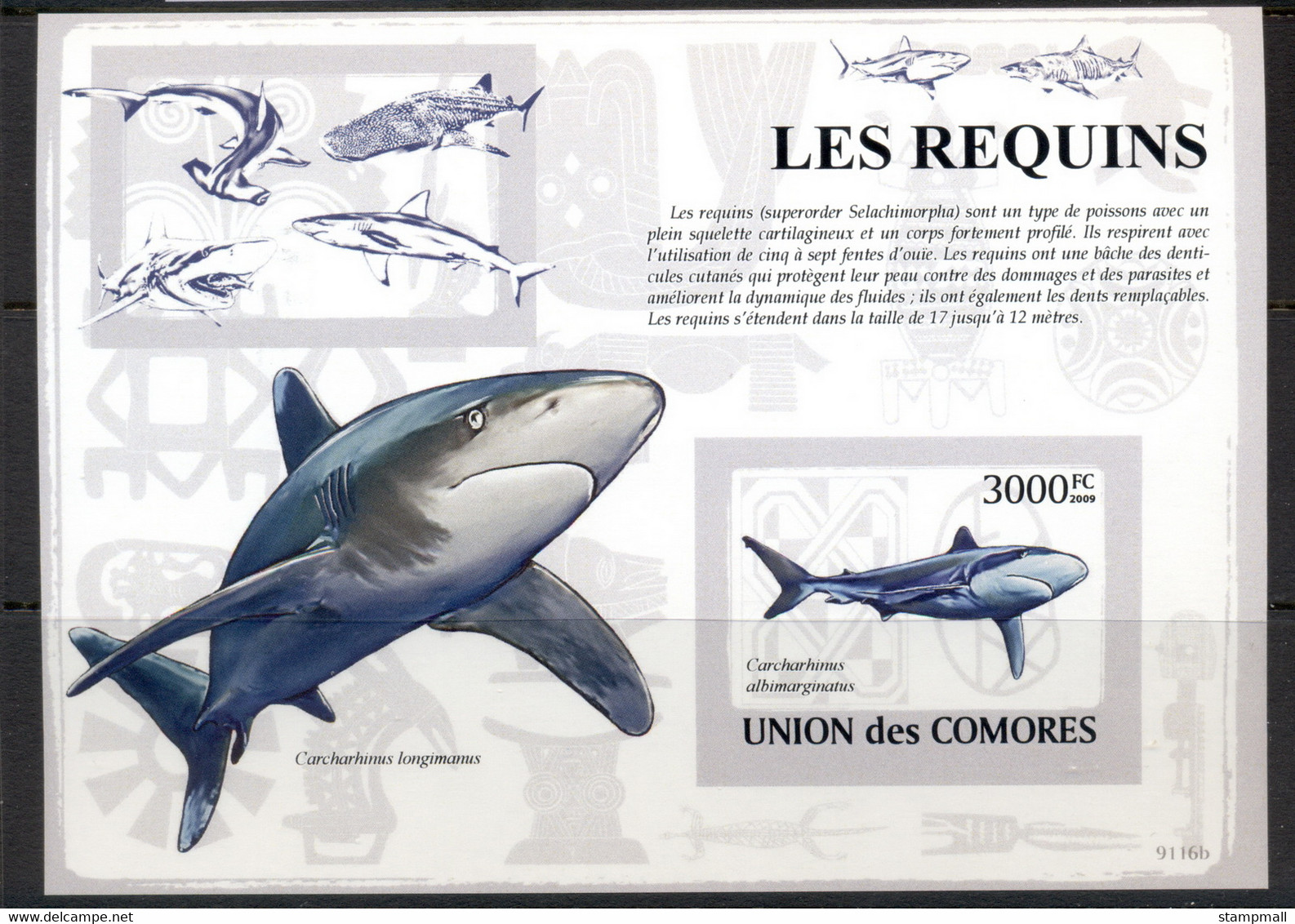 Comoro Is 2009 Marine Life, Sharks MS IMPERF MUH - Comores (1975-...)