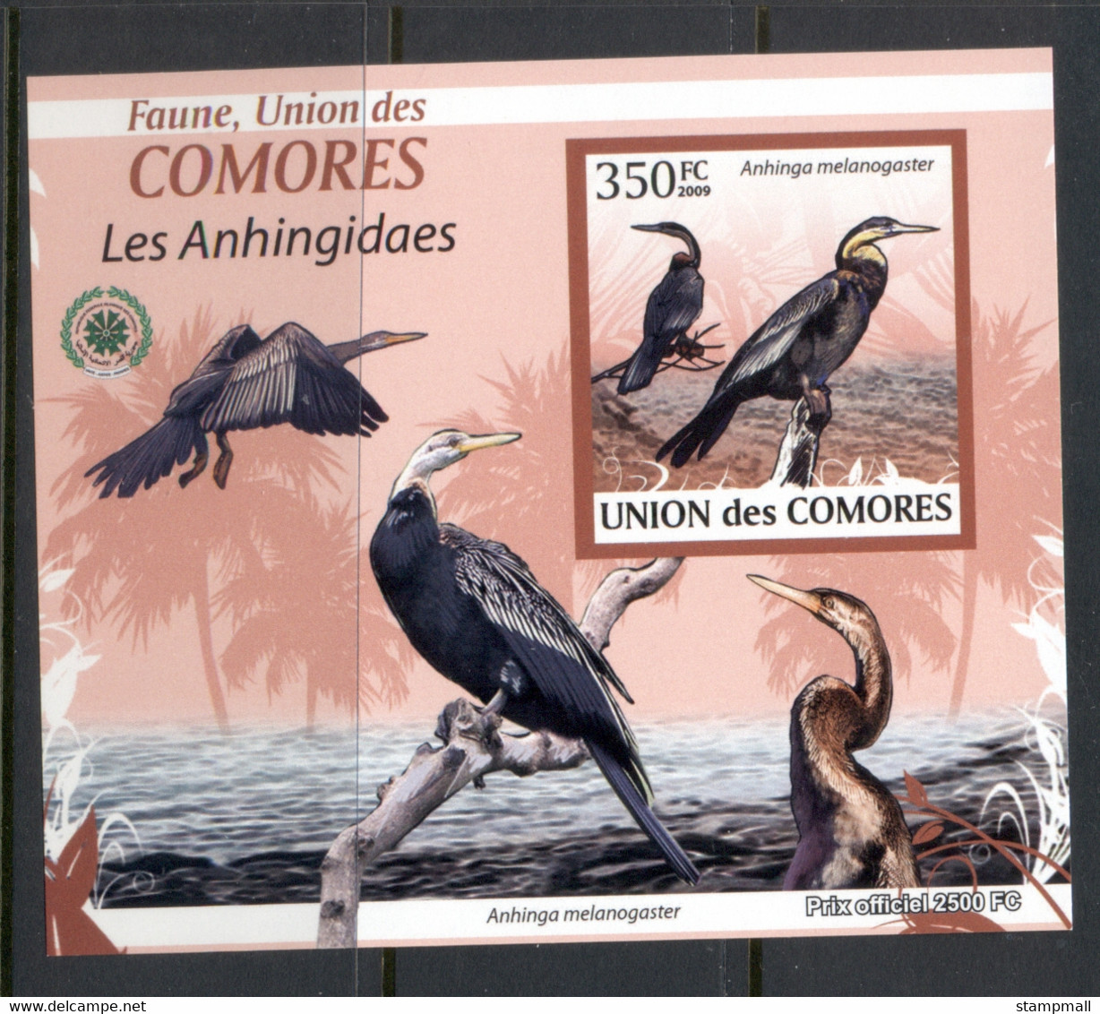 Comoro Is 2009 Birds, Cormorants Deluxe MS IMPERF MUH - Comores (1975-...)