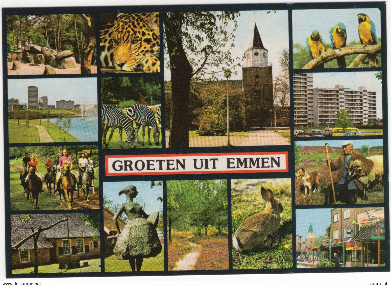 Groeten Uit Emmen - Ara's, Schapen, Zebra's, Luipaard, Haas, Paarden, Hunebed, Kerk Etc.- (Drenthe / Nederland) - EMN 13 - Emmen