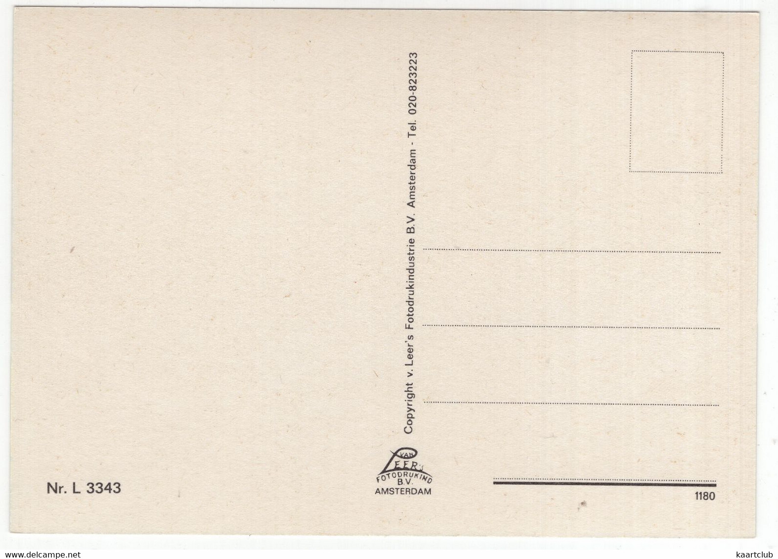 Emmen - Heide, Bomen, Bos, Zandpad - (Drenthe / Nederland) - L 3343 - Emmen