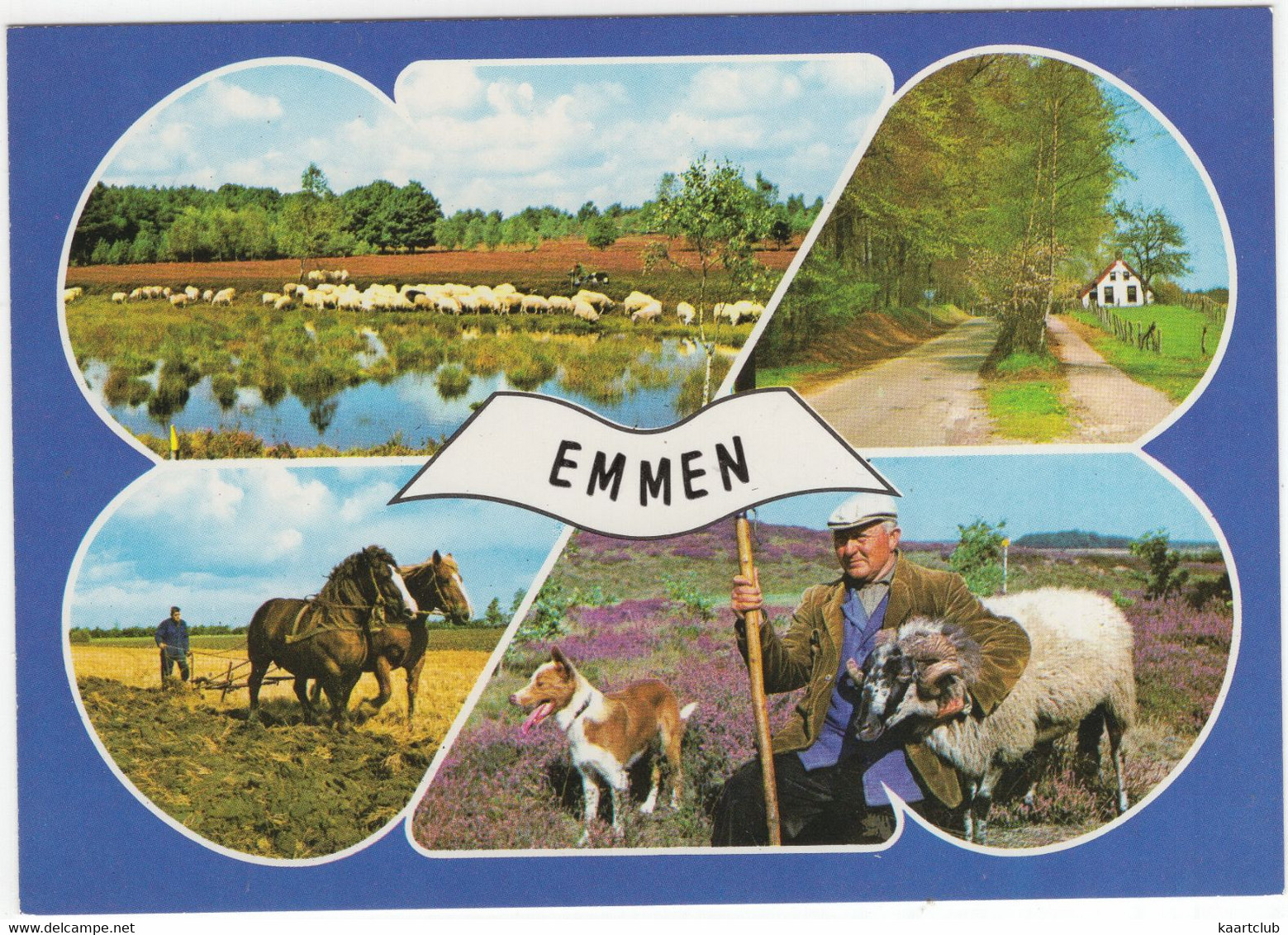 Emmen - Paarden Span, Hond, Heide, Bomen, Ram, Schapen, Boer, Boerderij - (Drenthe / Nederland) - L 4394S - Emmen