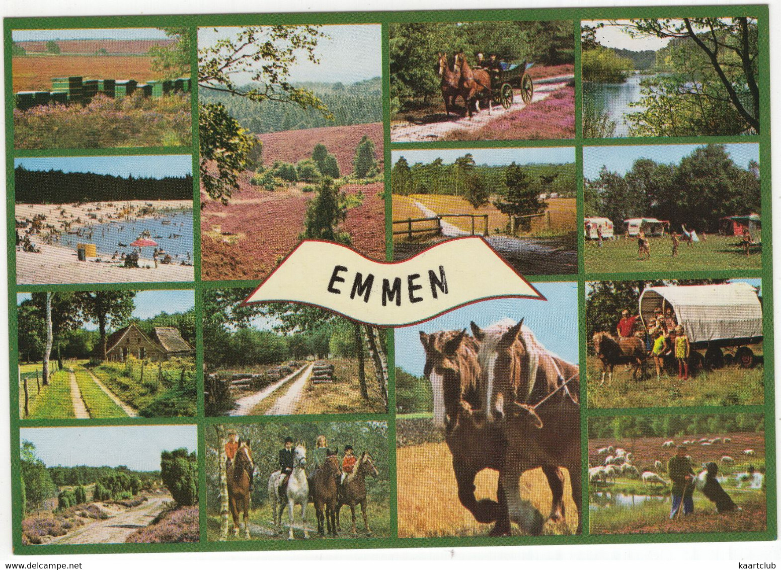 Emmen - Paarden Span, Hond, Bijenkorven, Huifkar, Herder, Ruiters, Camping Etc. (Drenthe / Nederland) - 781 - Emmen