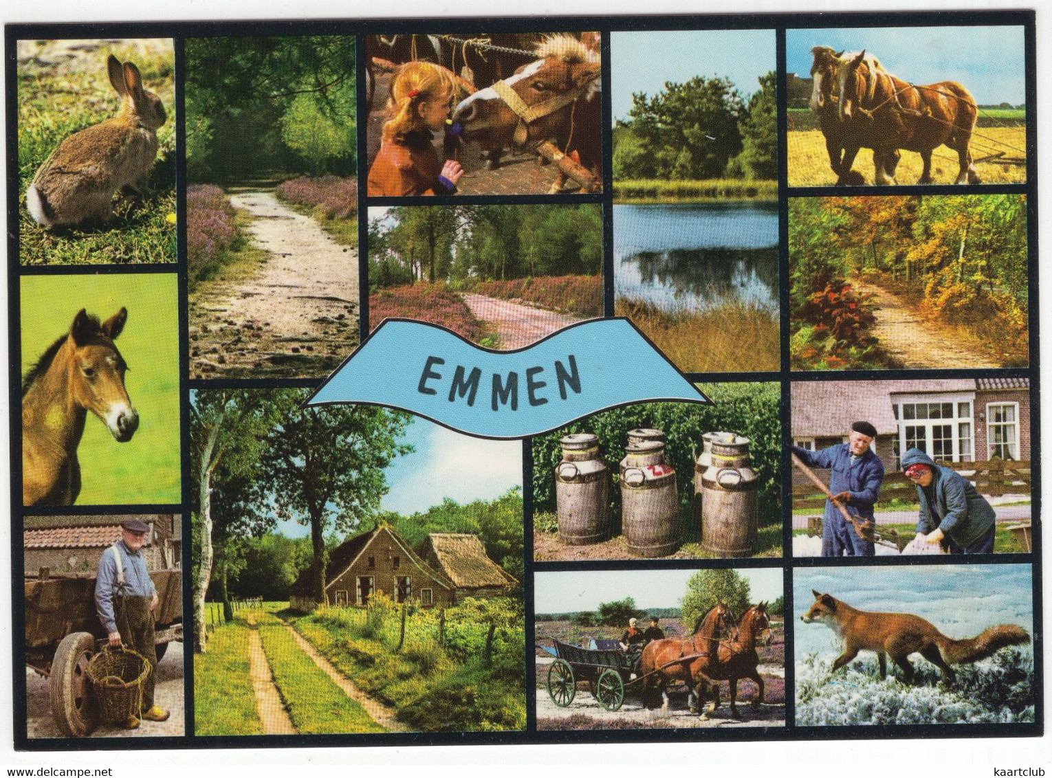 Emmen - Paard, Veulen, Pony, Vos, Haas, Melkbussen, Boer  -(Drenthe / Nederland) - L 7861 - Emmen