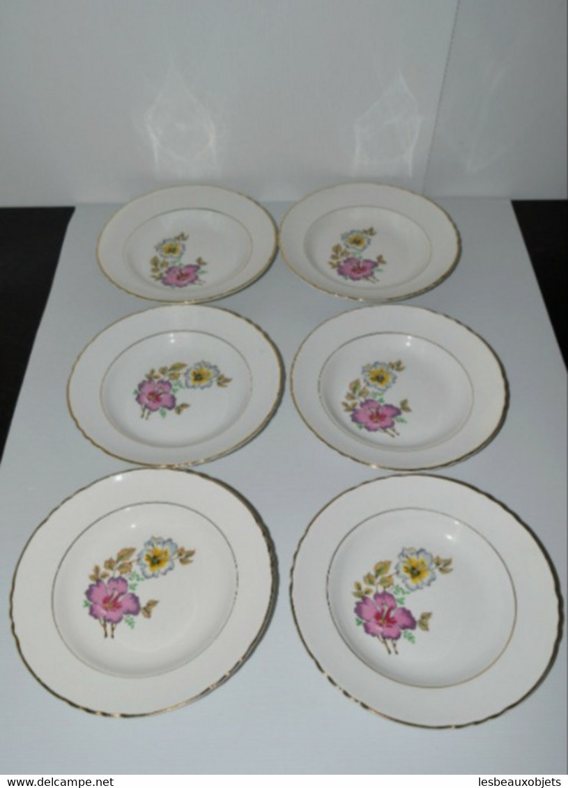 6 BELLES ASSIETTES demi creuses MOULIN DES LOUPS déco fleurs bordure dorée COLLECTION Déco table vitrine XXe