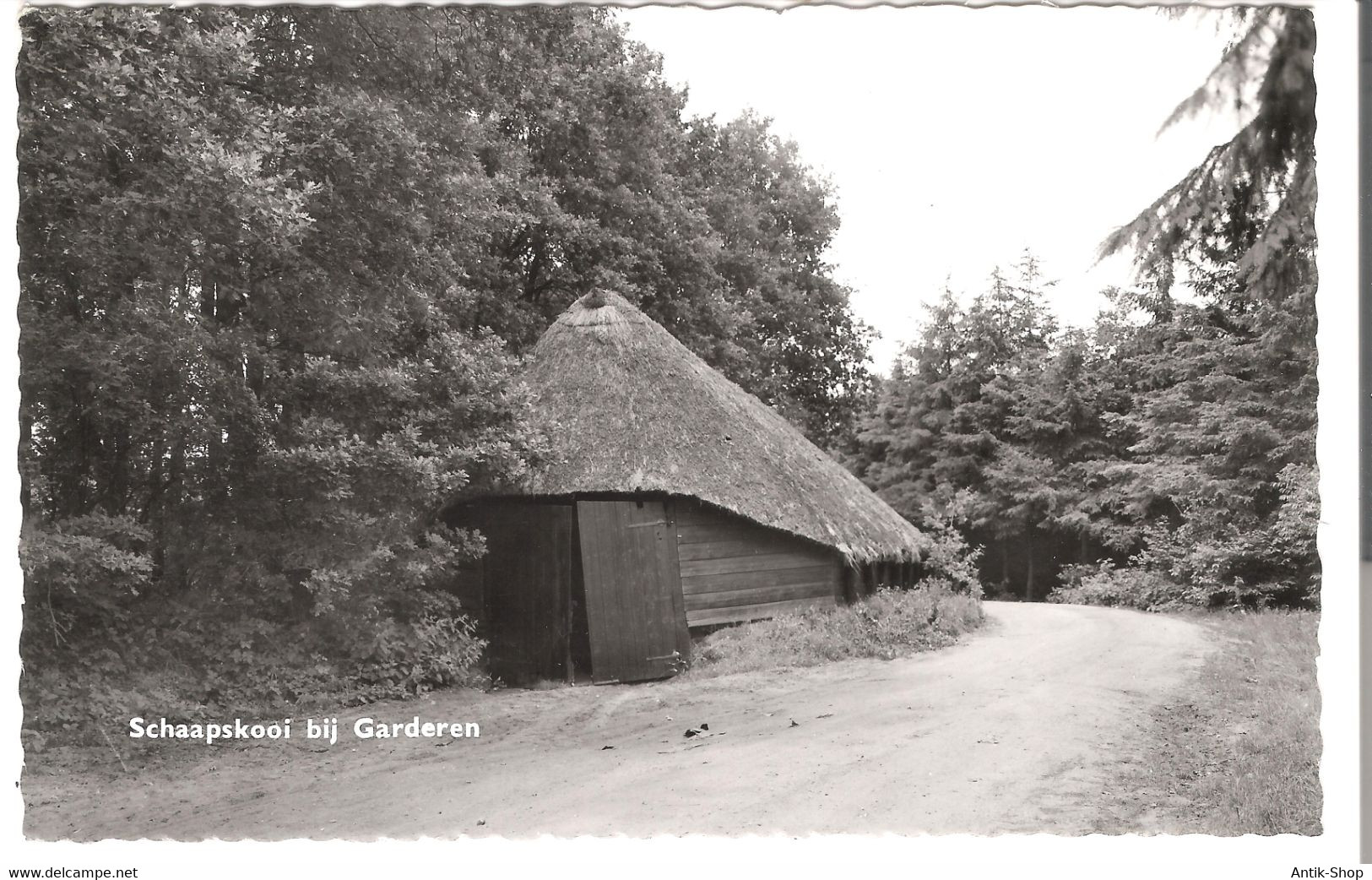 Schaapskooi Bij Garderen, Buk's Bungalowpark V.1966 (5011) - Barneveld