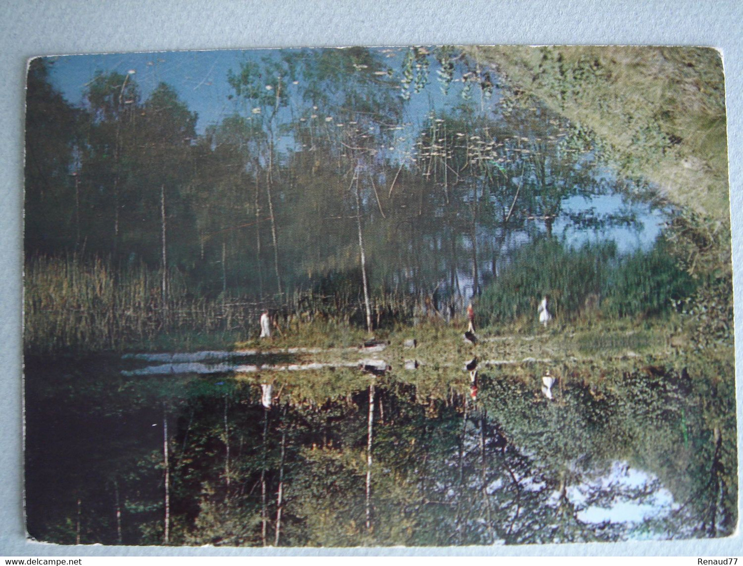 Rance - L'eau D'Eppe En Sous-bois - Sivry-Rance