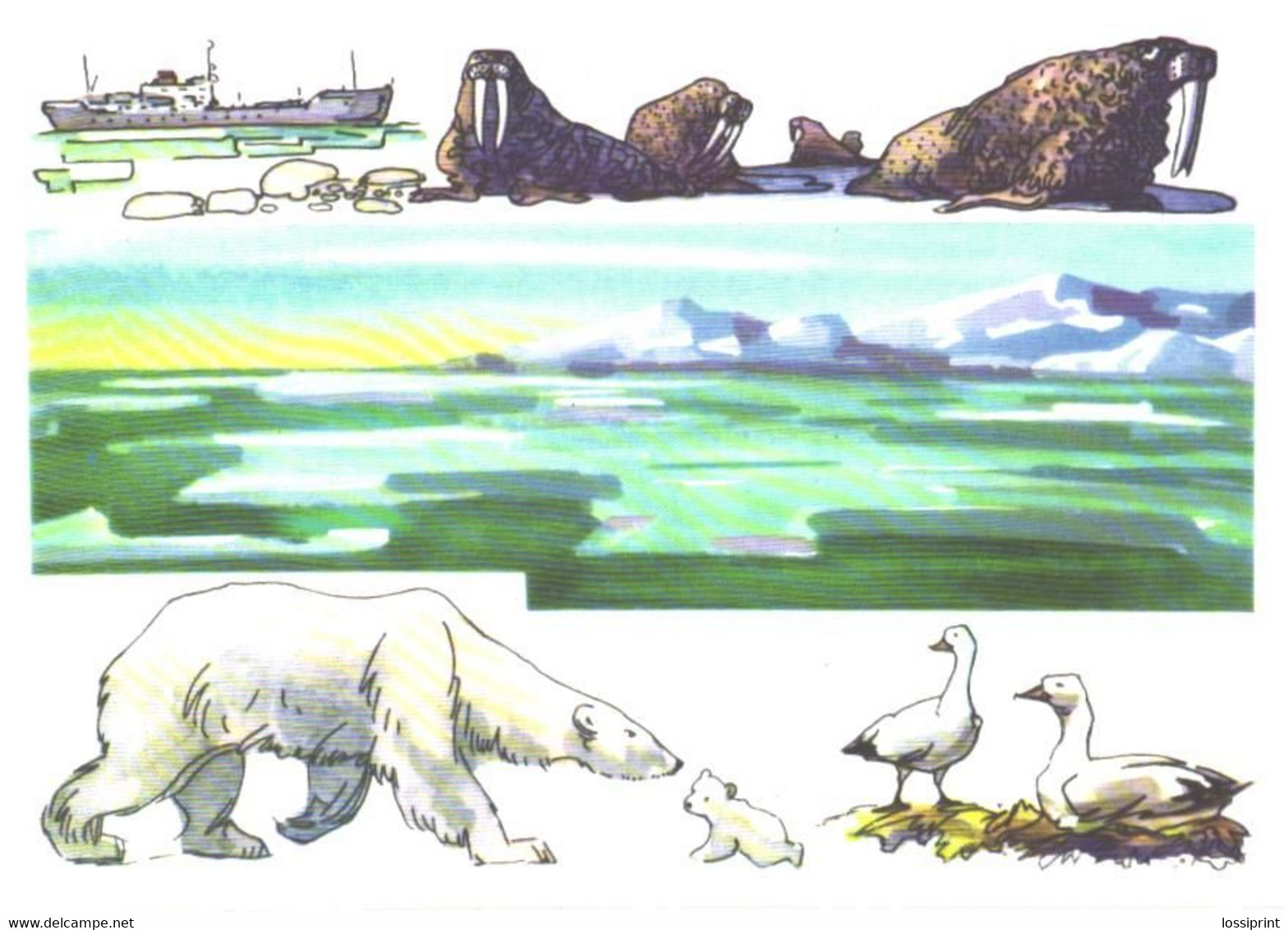 A.Sementsov-Ogievski:Wrangel Island, Polar Bear, Walrus, Birds, 1975 - Bears