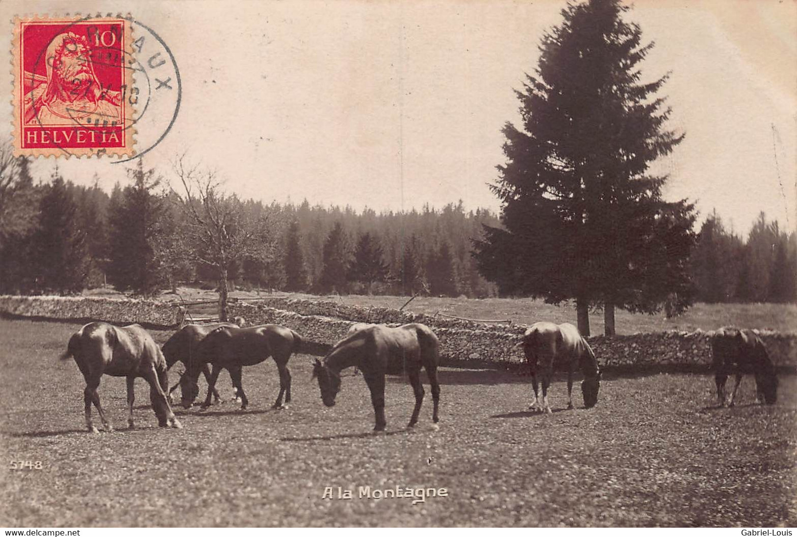 A La Montagne - Cachet Cornaux 1910 - Cheveaux Franche-Montagne -  Queue Coupée - Jura - Cornaux