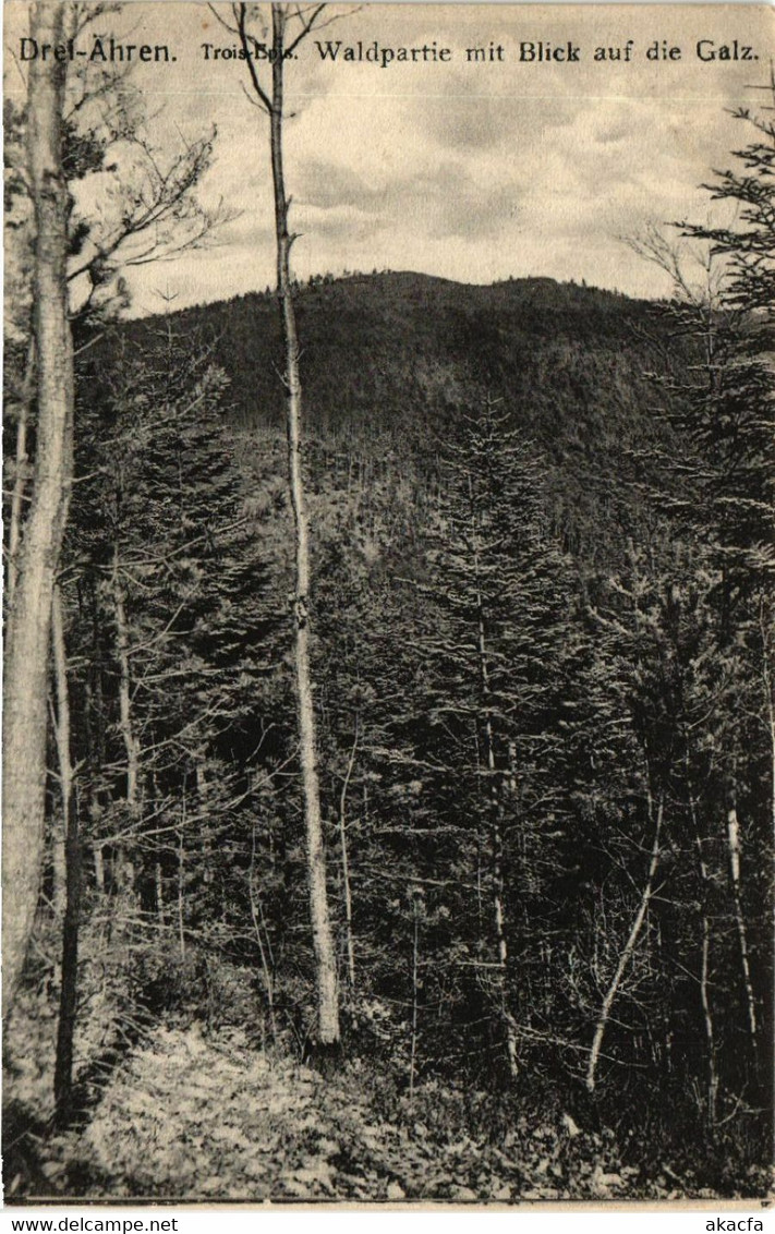 CPA AK DREI-AEHREN - Trois-BOIS - Waldpartie Mit Blick Auf Die Galz (451576) - Eyguieres