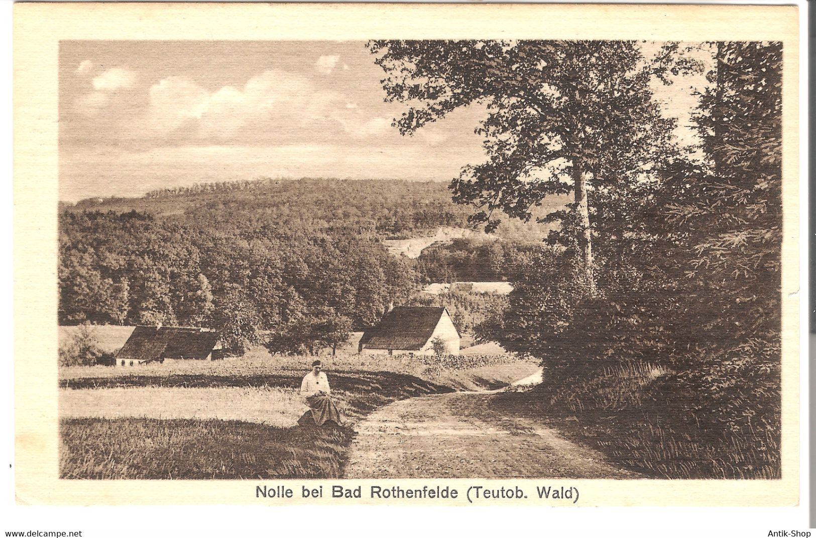 Nolle Bei Bad Rothenfelde - Teutoburger Wald V.1927 (5023) - Bad Rothenfelde