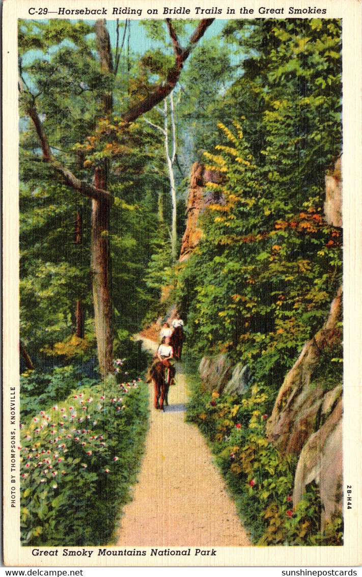 Tennessee Great Smoky Mountains Horseback Riding On Bridle Trails Curteich - Smokey Mountains