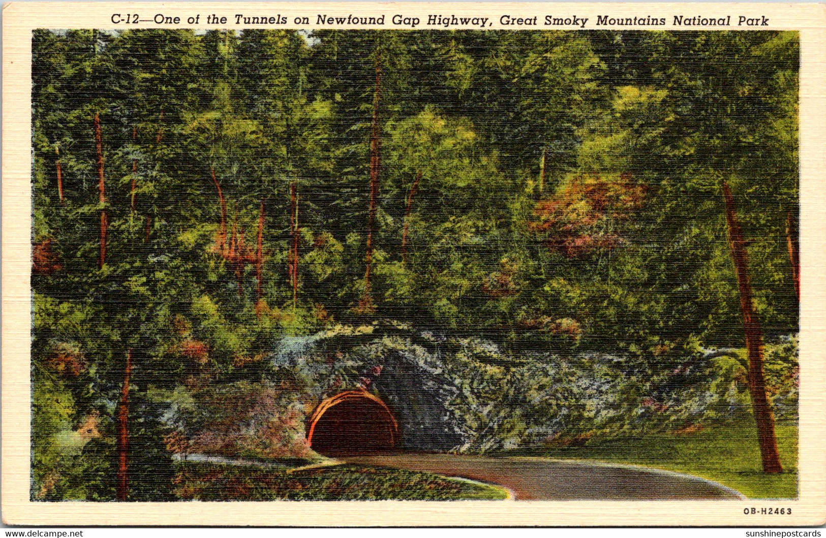 Tennessee Great Smoky Mountains One Of The Tunnels On Newfound Gap Highway Curteich - Smokey Mountains