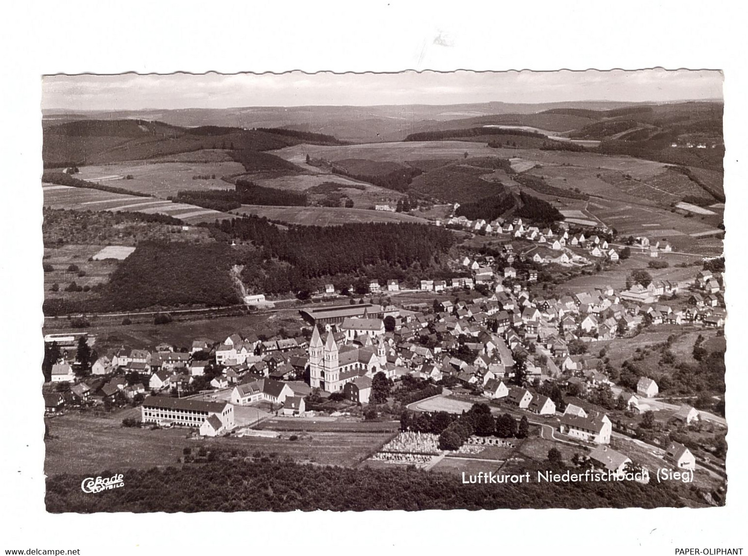 5242 KIRCHEN - NIEDERFISCHBACH, Luftaufnahme 1963 - Kirchen