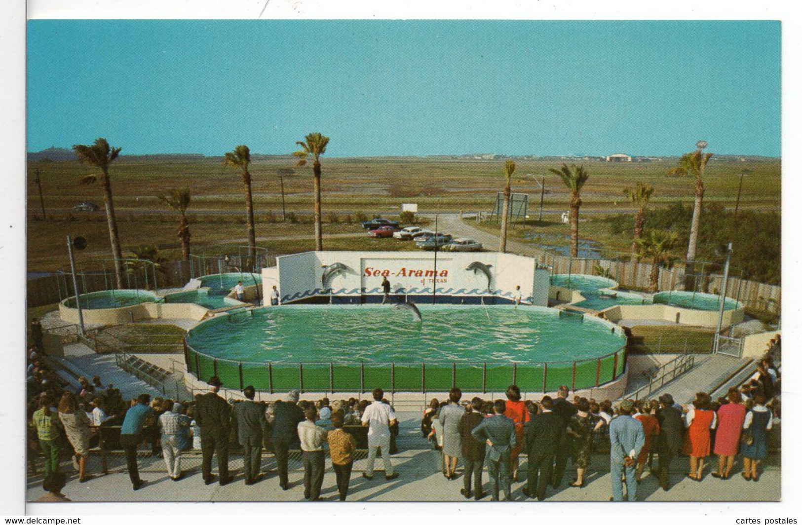 Porpoise Show Sea Arama  Of Texas GAVELSTON - Galveston