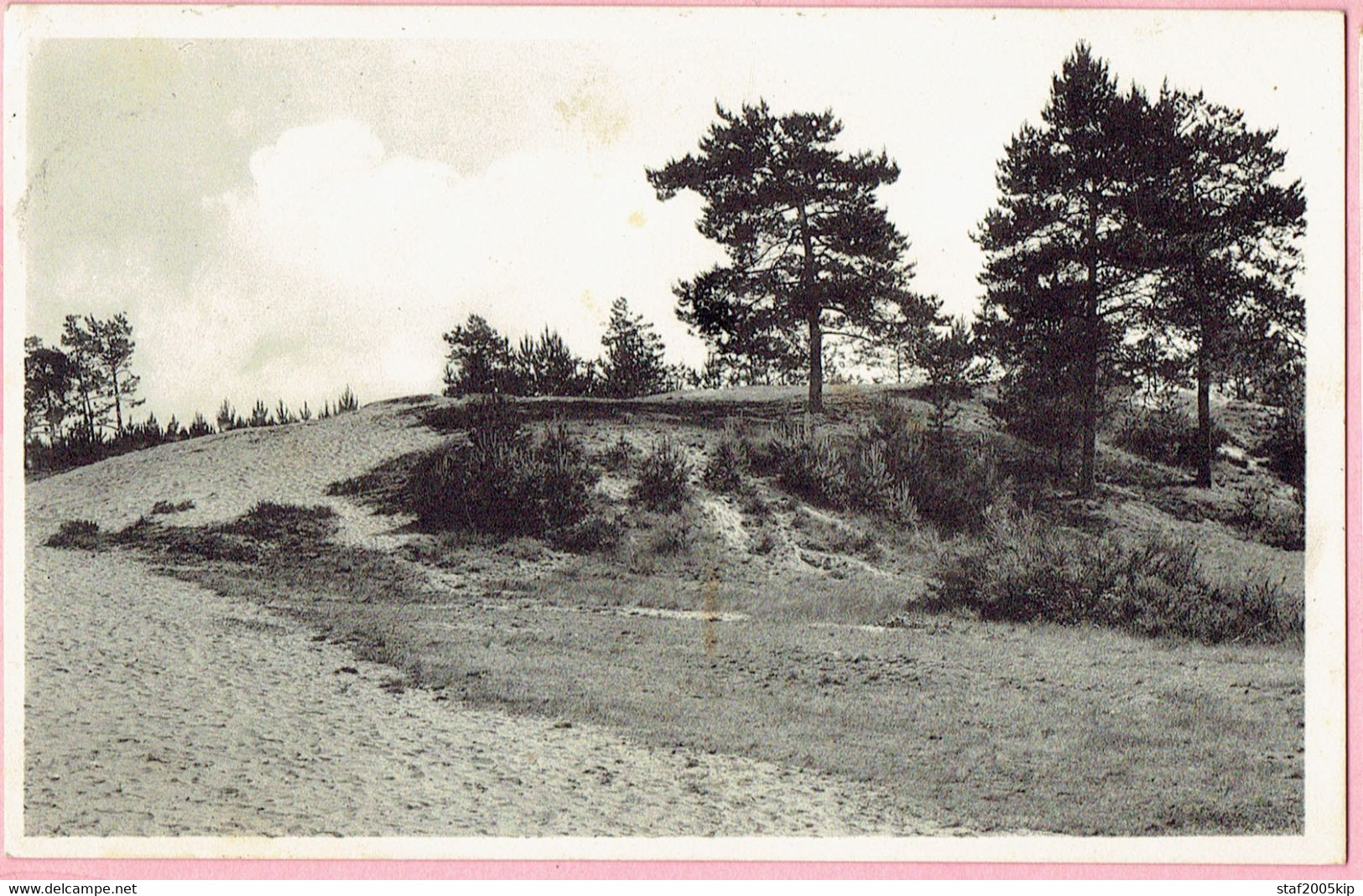 Kasterlee - Duinen Bij De Hoge Mouw - 1953 - Kasterlee