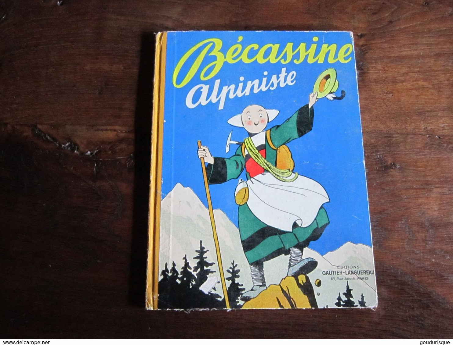 Bécassine T10 - Bécassine Alpiniste - Bécassine