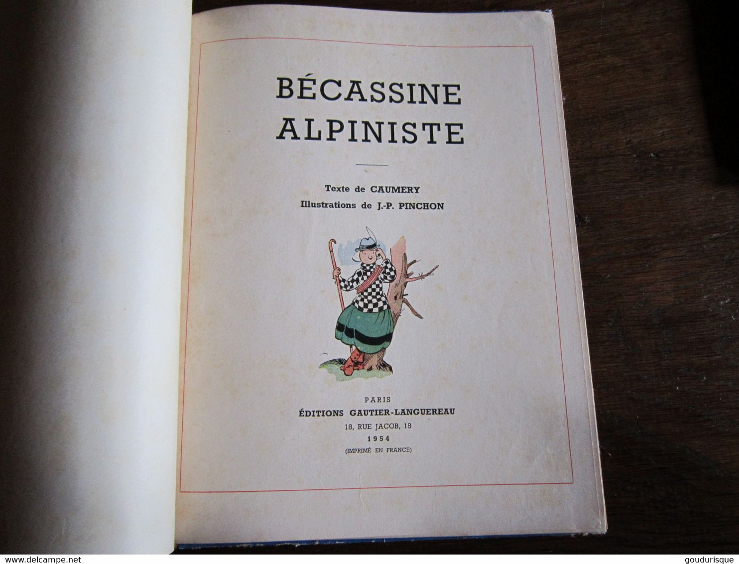 Bécassine T10 - Bécassine alpiniste