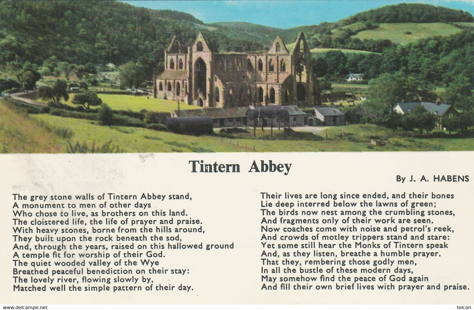 TINTERN ABBEY  Mint - Monmouthshire