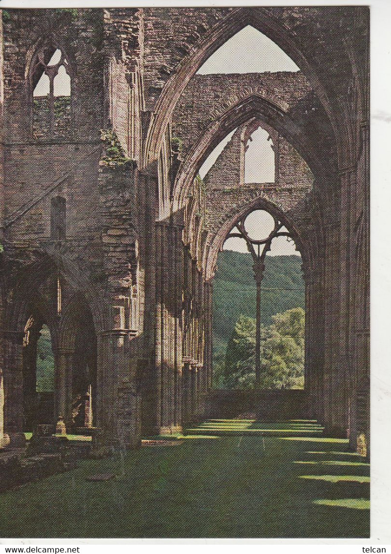 TINTERN ABBEY  Mint - Monmouthshire