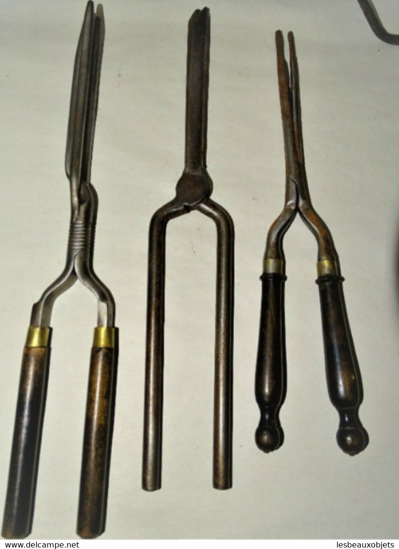 5 FERS A COLS ANCIENS COUTURIERE BLANCHISSEUSE Ou AUTRE FER Forgé Bois Fin XIXe Collection Outils Anciens Déco Vitrine - Outils Anciens