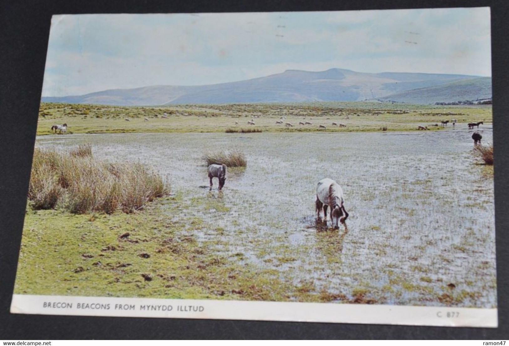 Brecon Beacons From Mynydd Illtud - Breconshire