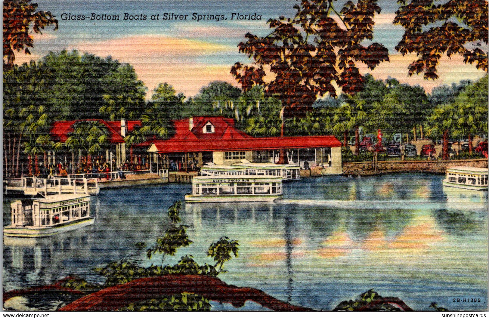 Florida Silver Springs Glass Bottom Boats Curteich - Silver Springs