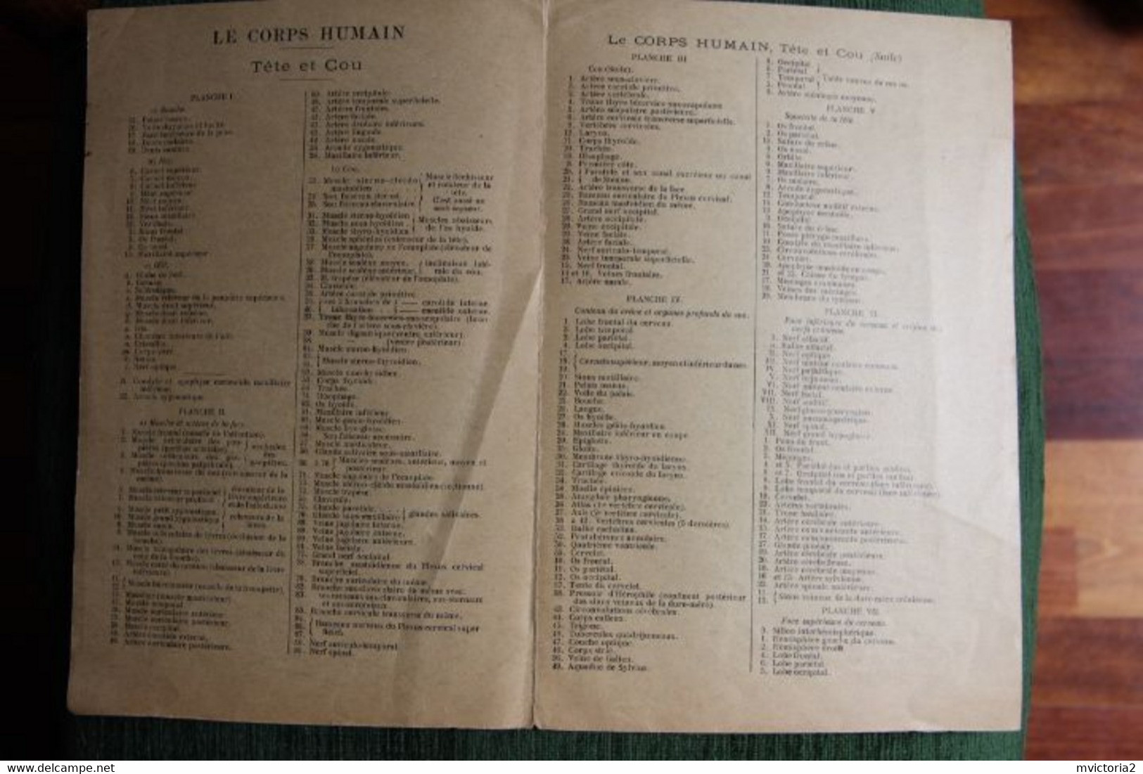 MEDECINE : Superbe Planche De Figures Superposées, Cours Brémant : Musée Scolaire : Tête Et Cou. - Otros Planes