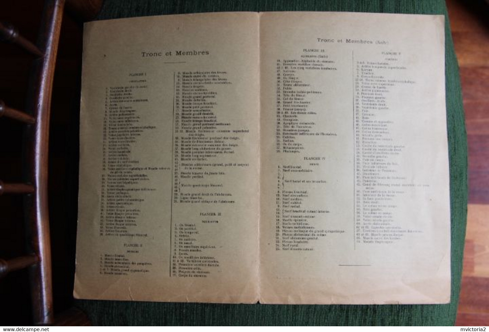 MEDECINE : Superbe Planche De Figures Superposées, Cours Brémant : Musée Scolaire : Tronc Et Membres. - Autres Plans