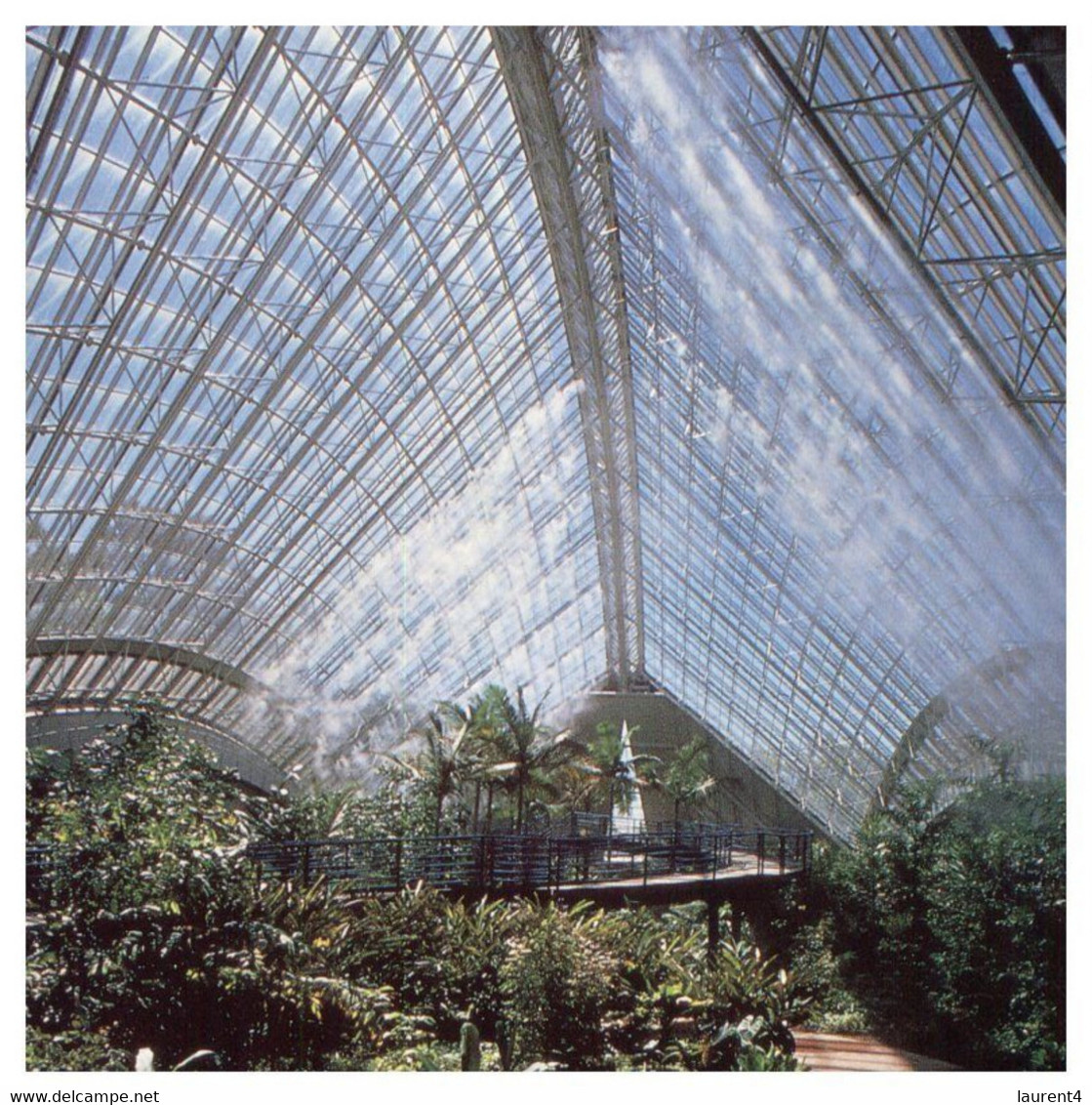 (WW 27) Australia - Adelaide Botanical Garden Conservatory - Adelaide