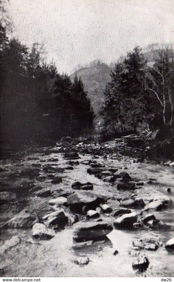 Leatherwood Creek In The Kentucky Mountains KY - Post Card Not Circulated - Otros & Sin Clasificación