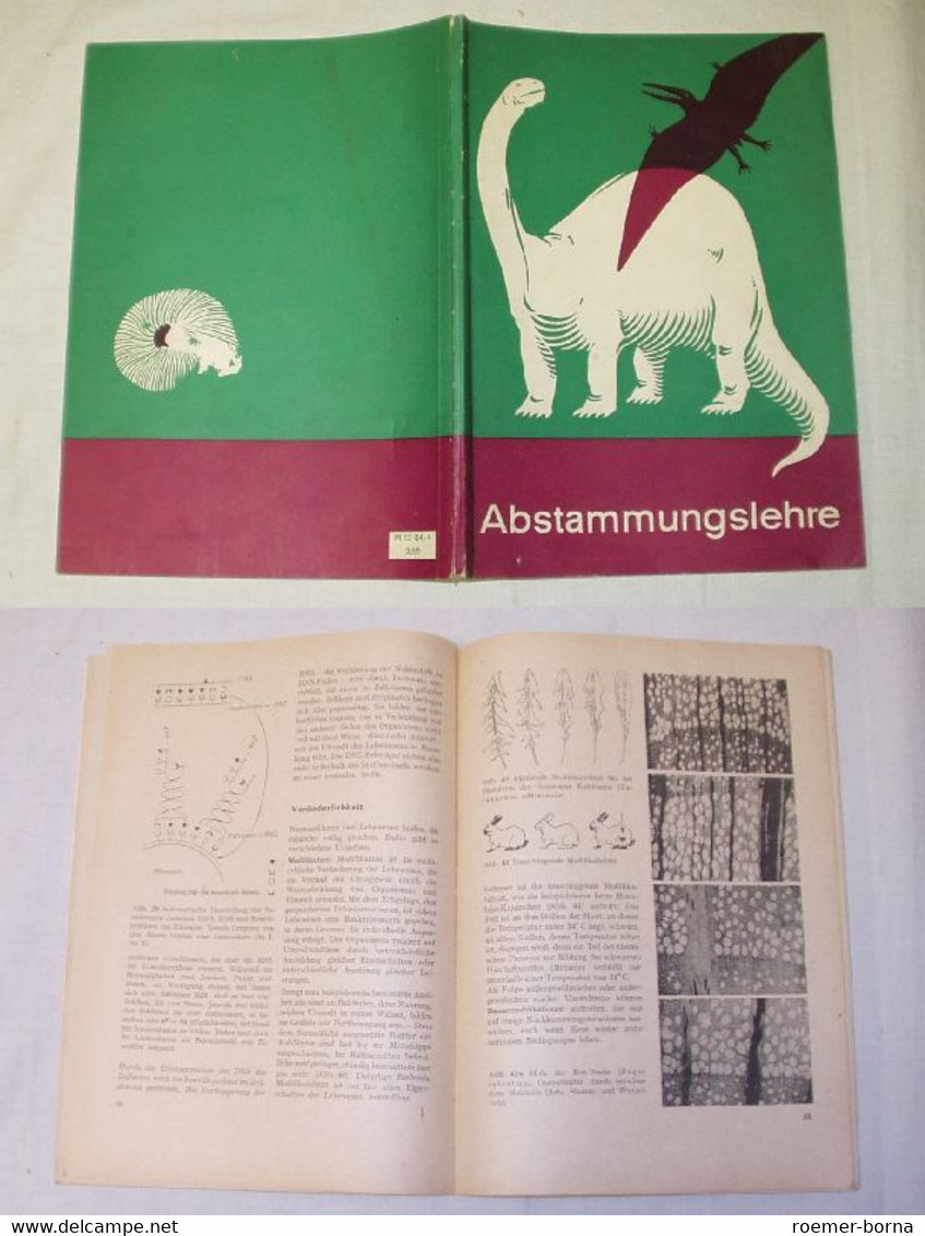 Abstammungslehre - Lehrbuch Für Die Berufsausbildung Mit Abitur (3. Lehrjahr) - Schulbücher