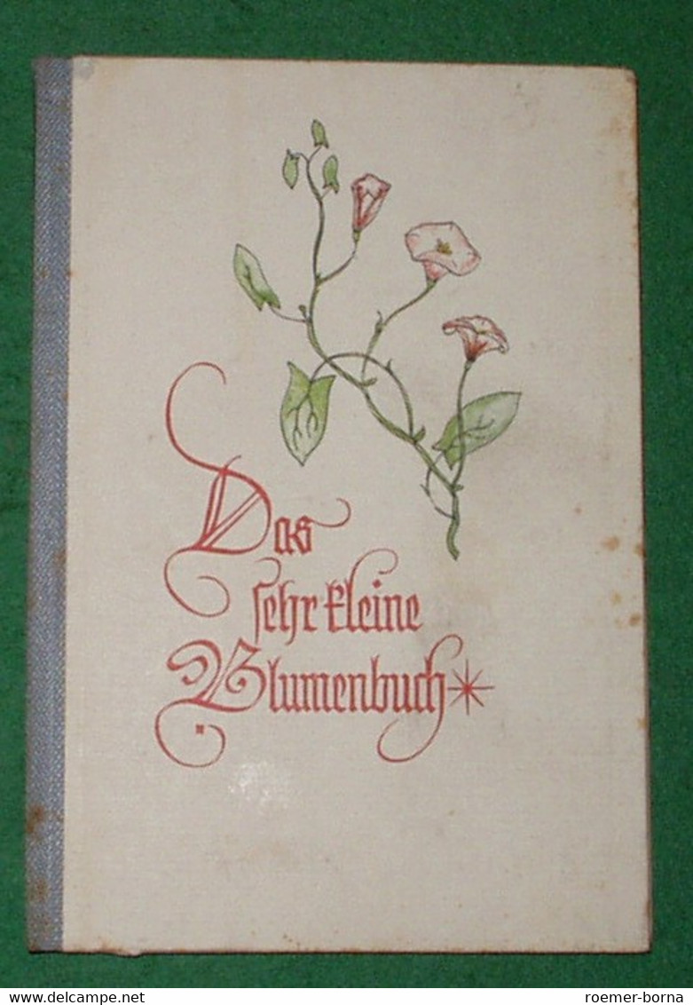 Das Sehr Kleine Blumenbuch - Gedichten En Essays