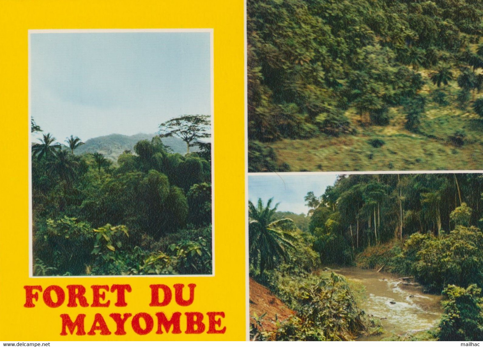 CONGO - Forêt De Mayombe - Multi Vues - CPM Non Voyagée - Ed. IRIS - Pointe-Noire