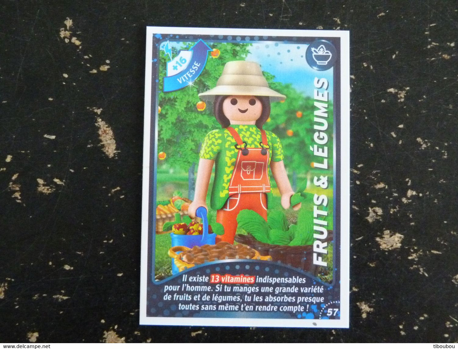 CARTE CARREFOUR PLAYMOBIL N° 57 - FRUITS ET LEGUMES - Autres & Non Classés