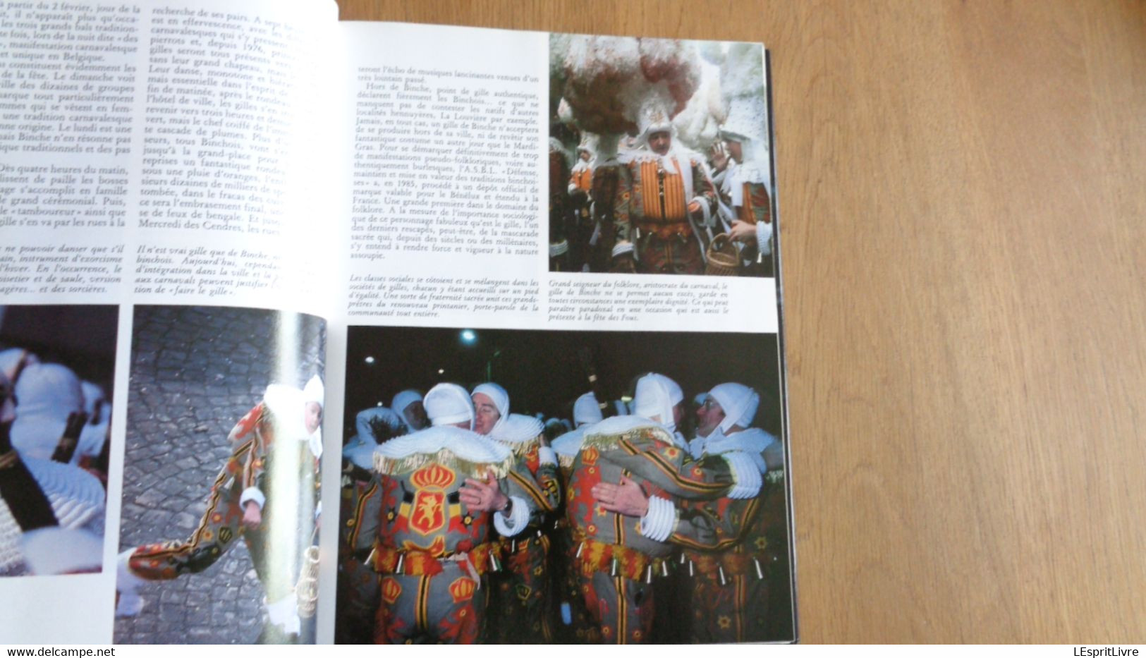 LA BELGIQUE INSOLITE & MYSTERIEUSE Régionalisme Légendes Ardenne Carnaval Folklore Orval Bayard Fées Wéris Gozée Diable