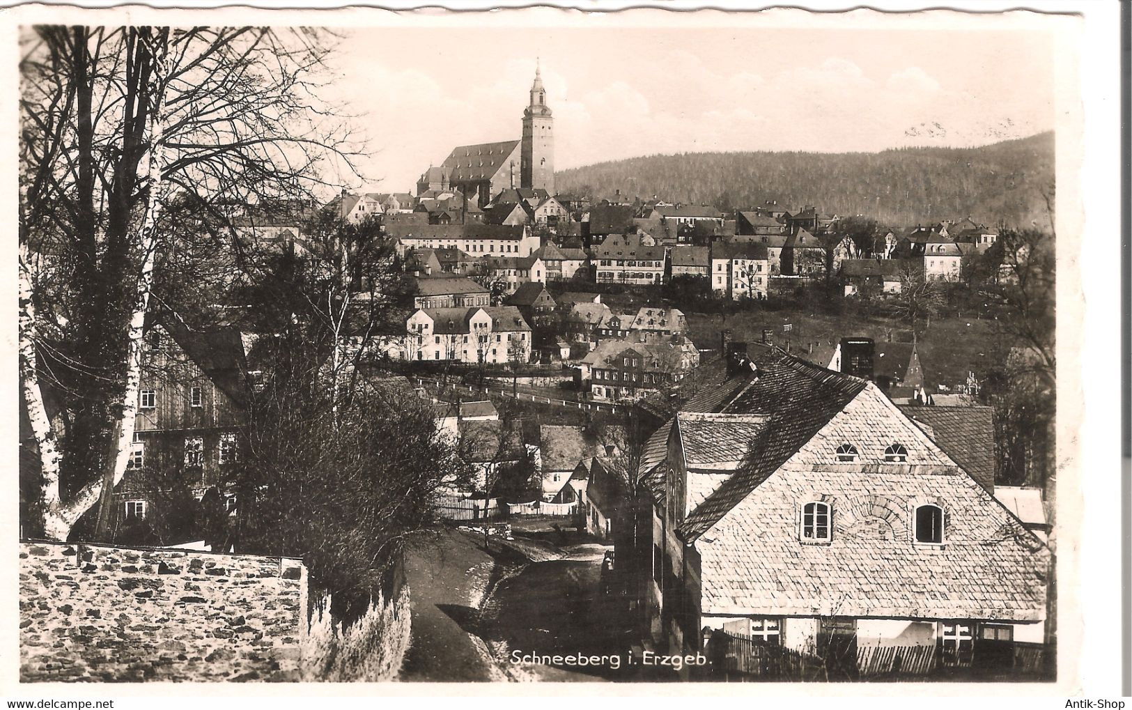 Schneeberg I. Erzgeb.   V.1934 (5072) - Schneeberg